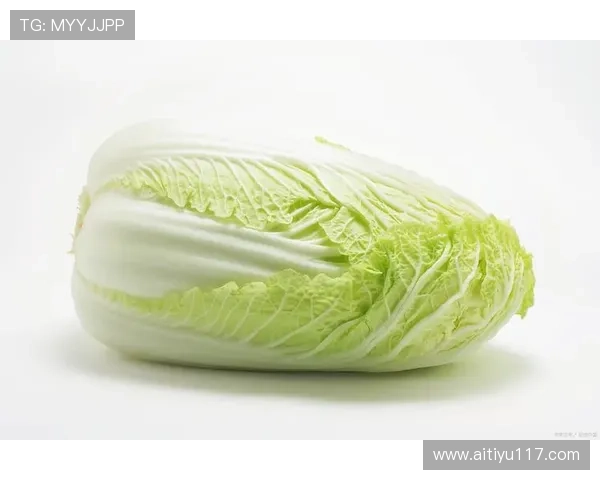 白菜哦网:探索新鲜优质蔬菜的最佳选择